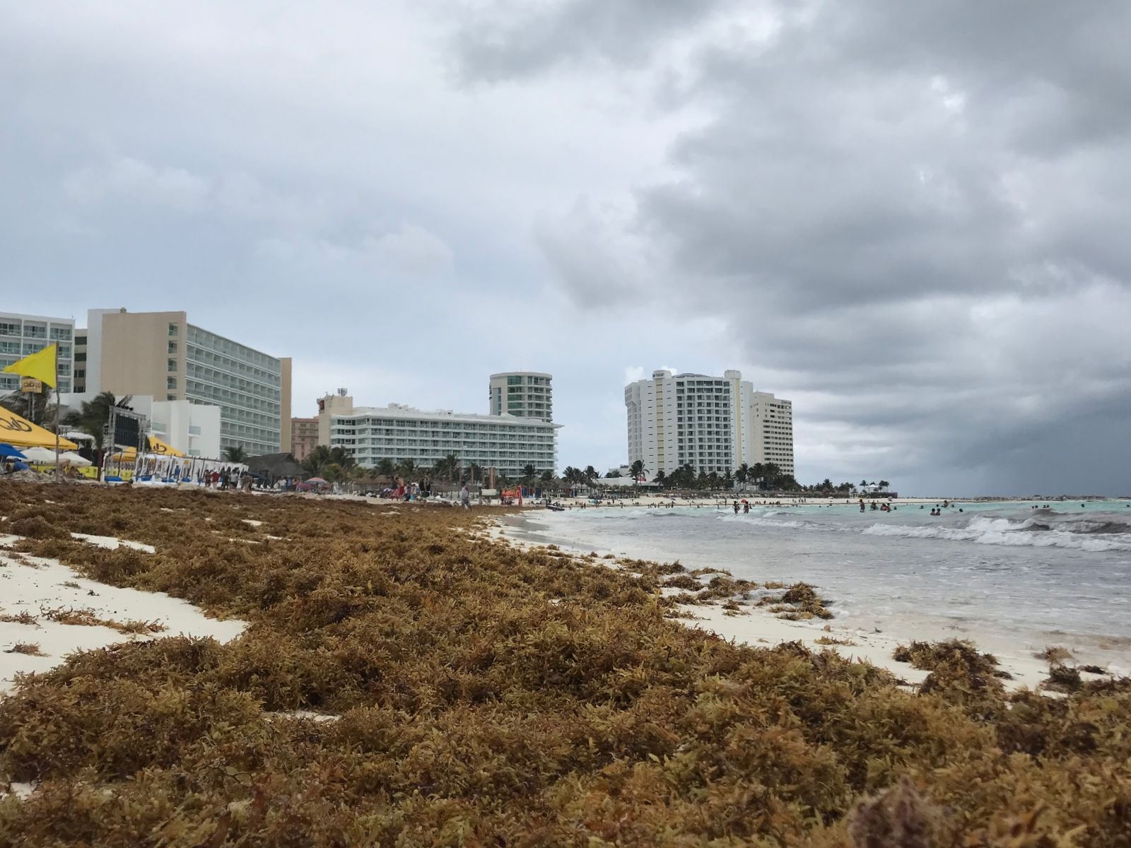 Playa Fórum en Cancún, con exceso de sargazo sobre su arena: VIDEO