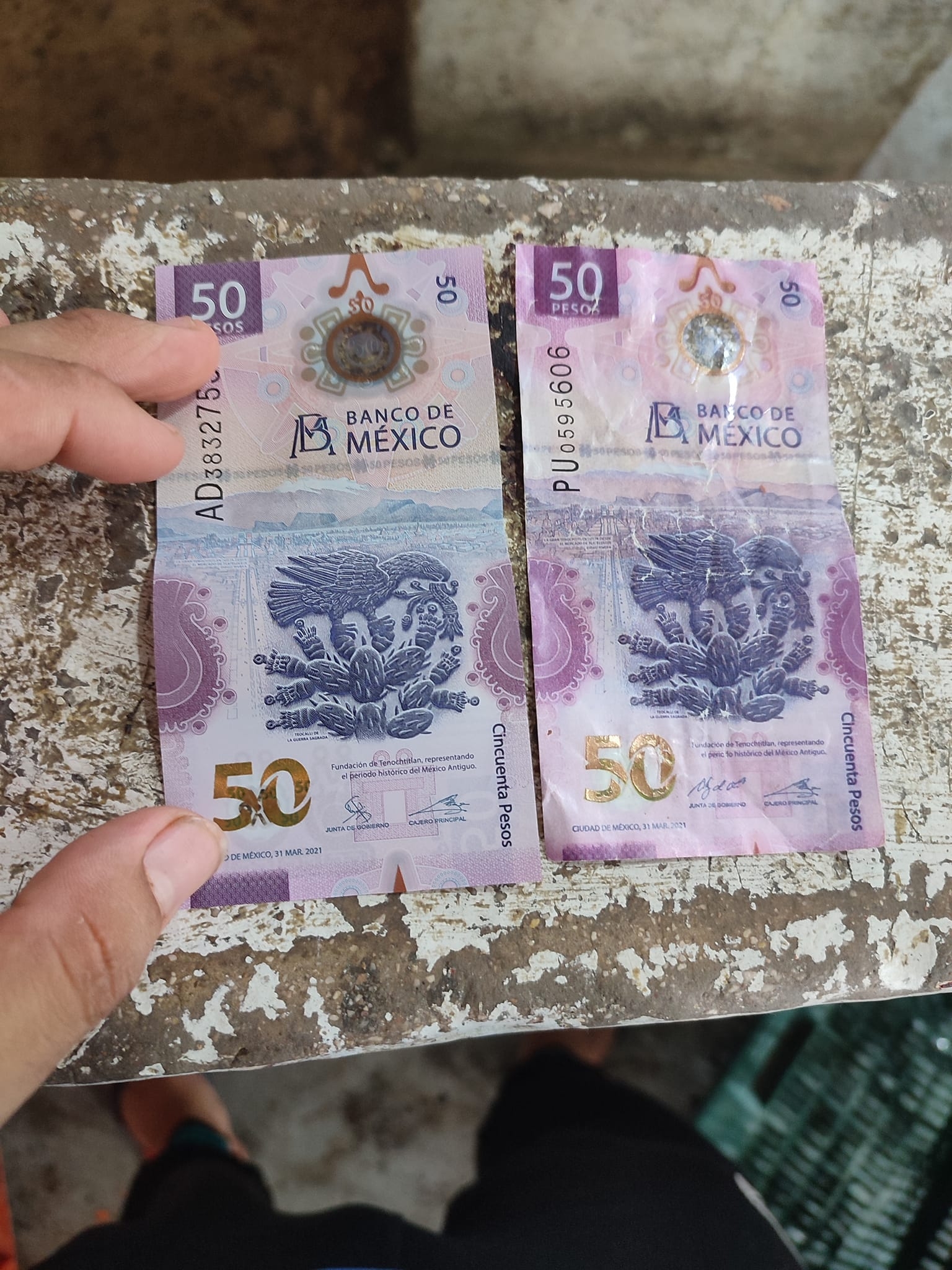 Alerta por circulación de billetes falsos de 50 pesos en Campeche