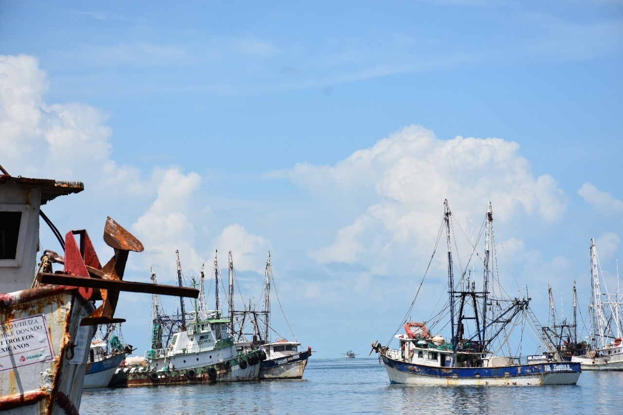 Pescadores buscan eliminar veda de camarón en la Sonda de Campeche