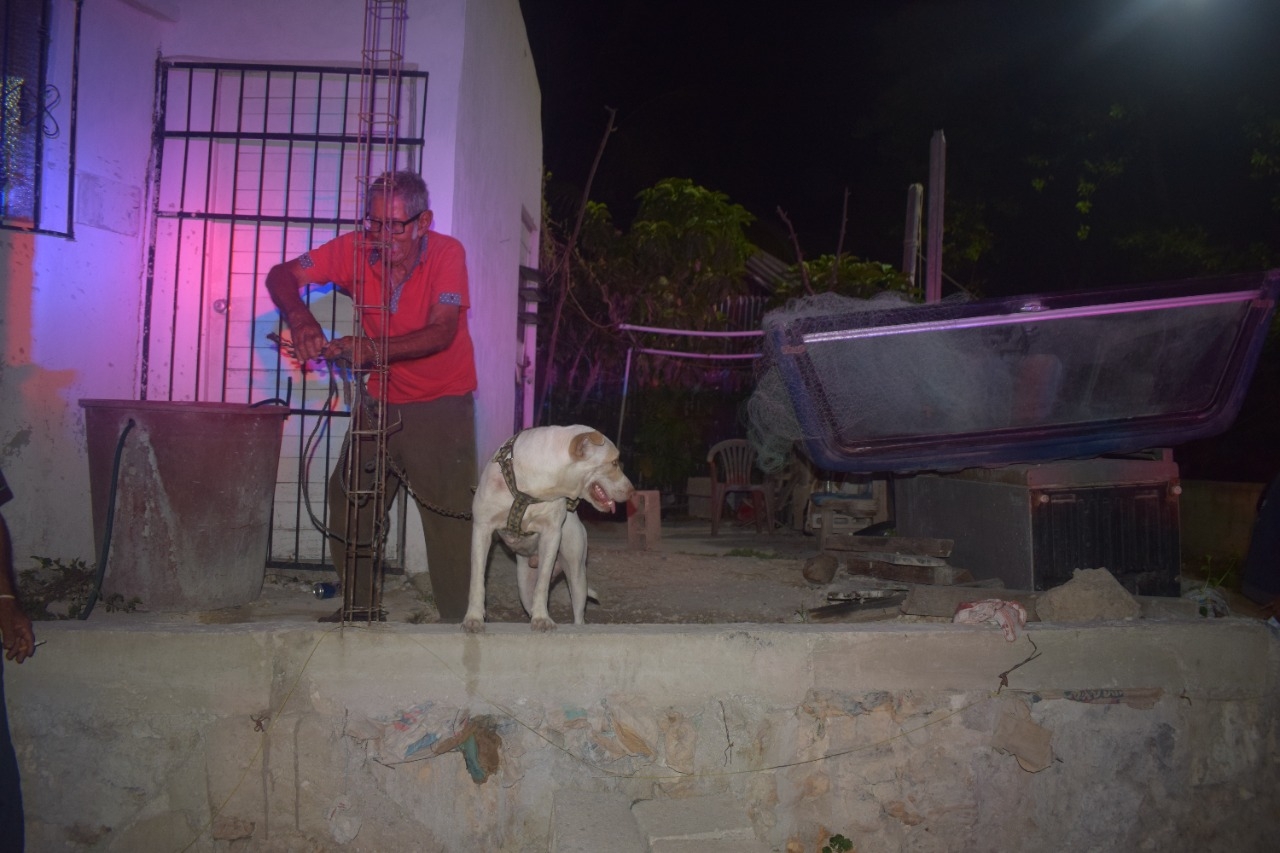 Perro pitbull salva a su dueño tras ser apuñalado en Progreso