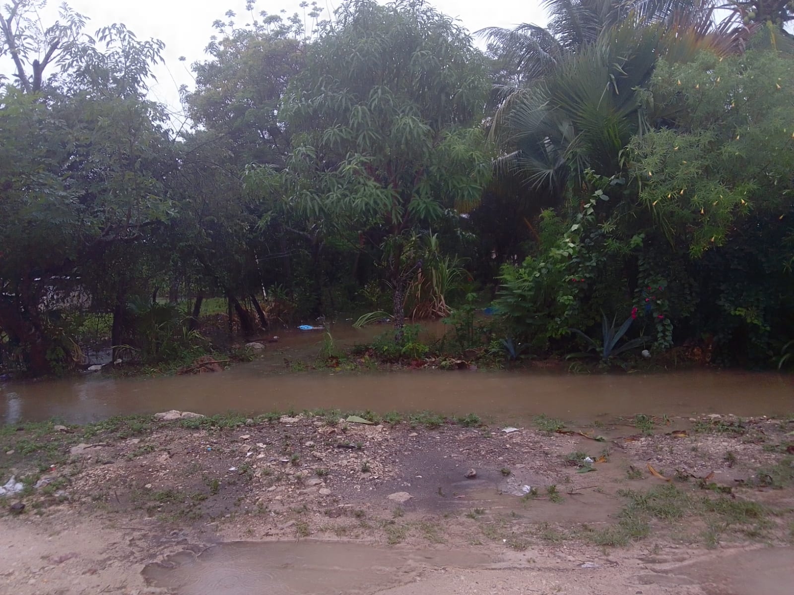 Lluvias causan inundaciones en comunidades del Sur de Quintana Roo: FOTOS
