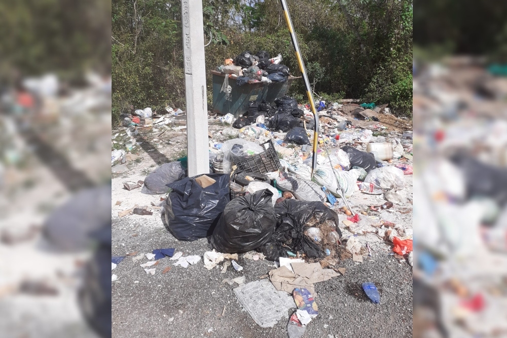 vecinos del asentamiento Las Fincas indicaron que los camiones recolectores de basura no ha acudido a la zona en varios días