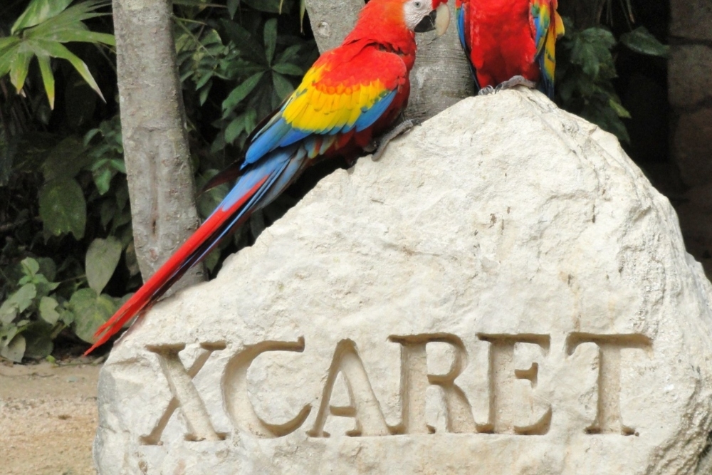 Parque de Xcaret, parecido a Xibalbá, inició construcción en Playa del Carmen sin permisos