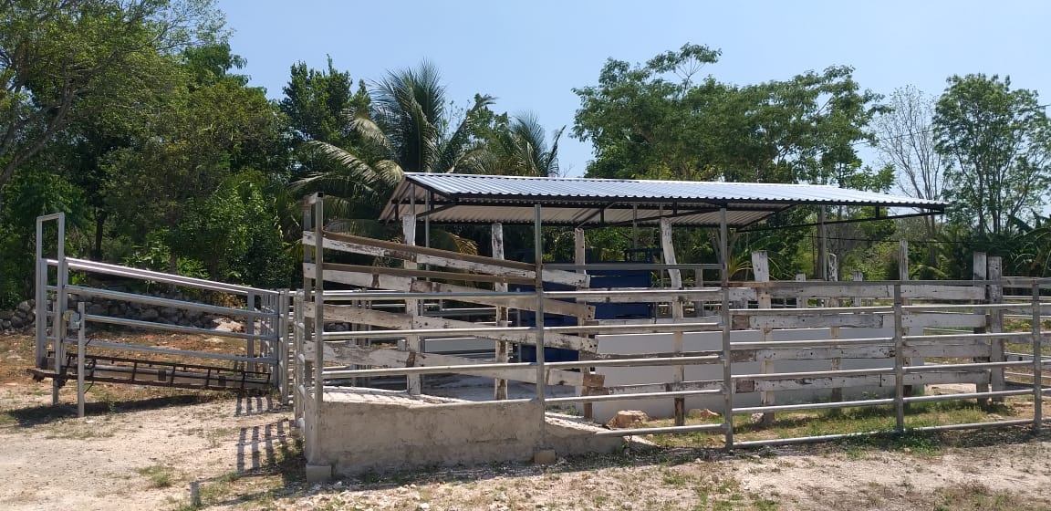 José Dolores Cob Mendoza fue el encargado del acondicionamiento pecuario y construcción de manga para corral de manejo de ganado; su funcionamiento es cuestionado