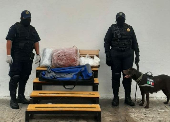 La Unidad Canina detectó la mochila y una caja con varias drogas