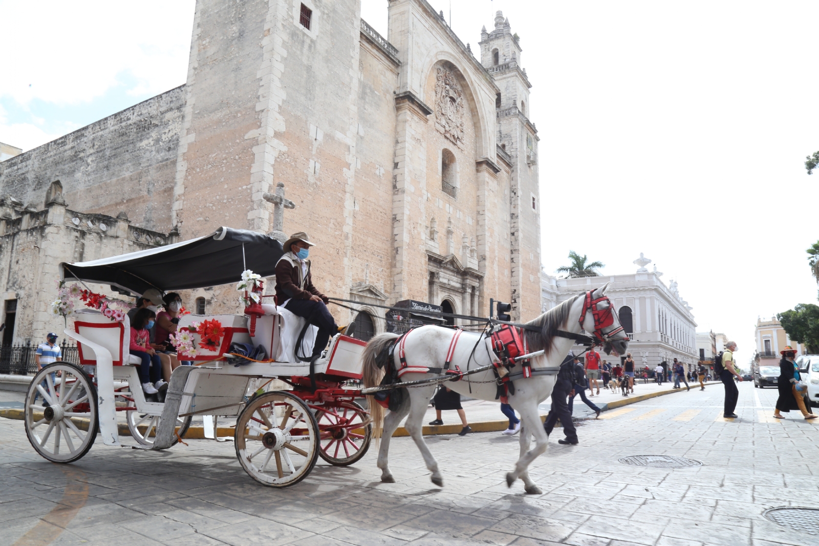 Nuevas calesas eléctricas de Mérida no sustituirán a las actuales impulsadas por caballos