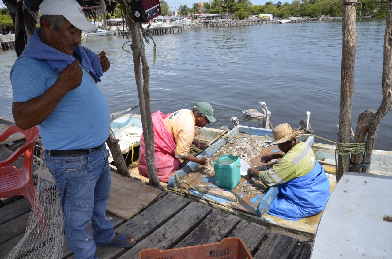 Más de 3 mil pescadores de Carmen recibirán apoyo de Bienpesca