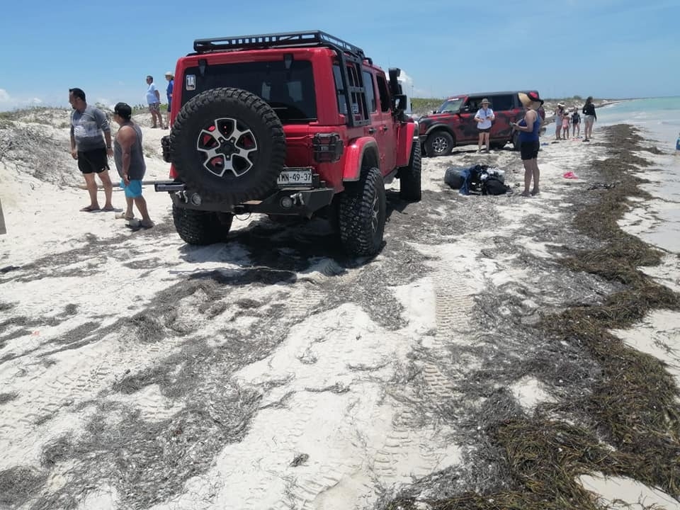 Denuncian a agencia de turismo por destruir nidos de tortugas en Río Lagartos,  Yucatán