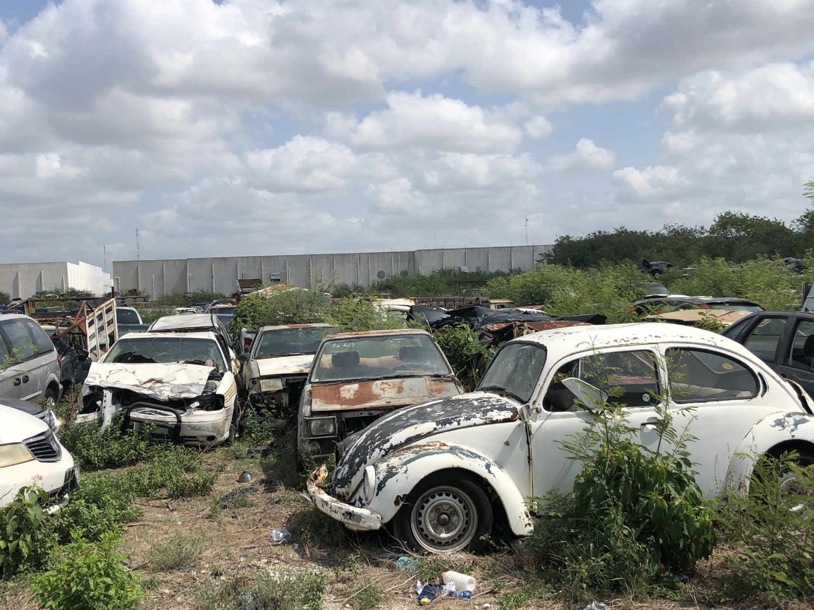 Rematarán más de seis mil vehículos abandonados en corralones de Yucatán