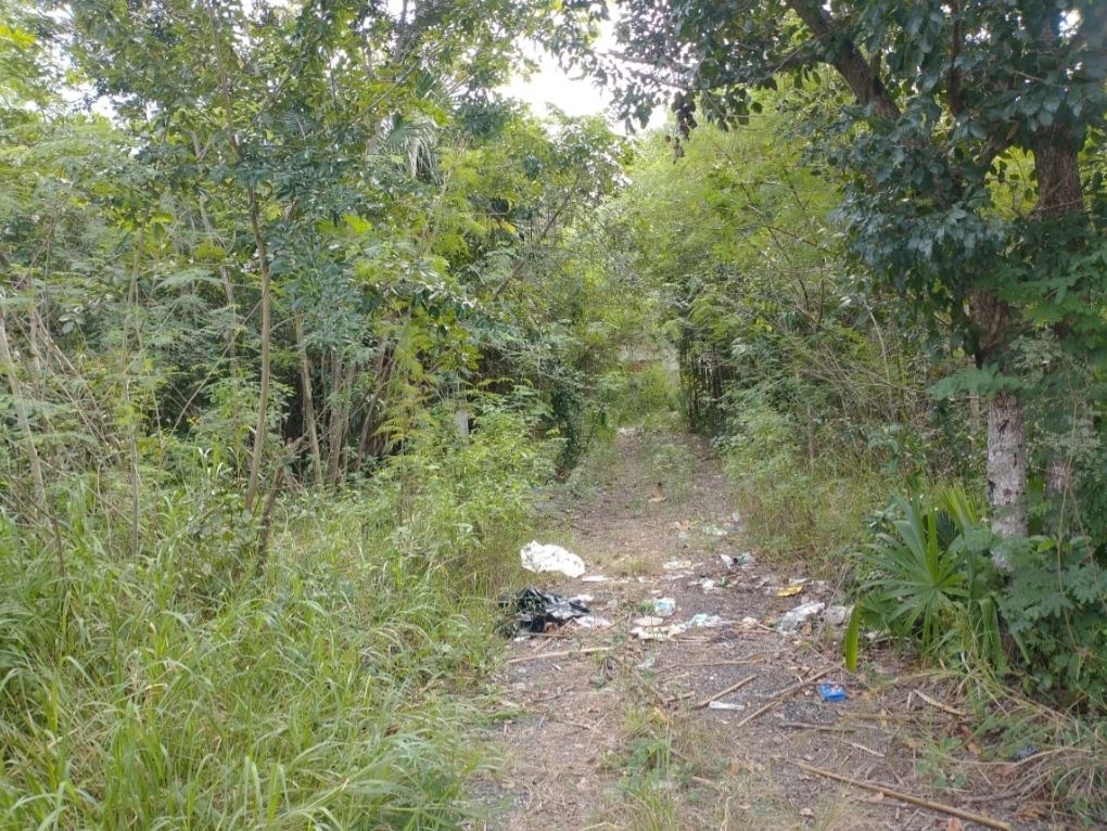 Cuerpos hallados en Yucatán son de los 8 hombres “levantados” en Xcalac, Quintana Roo