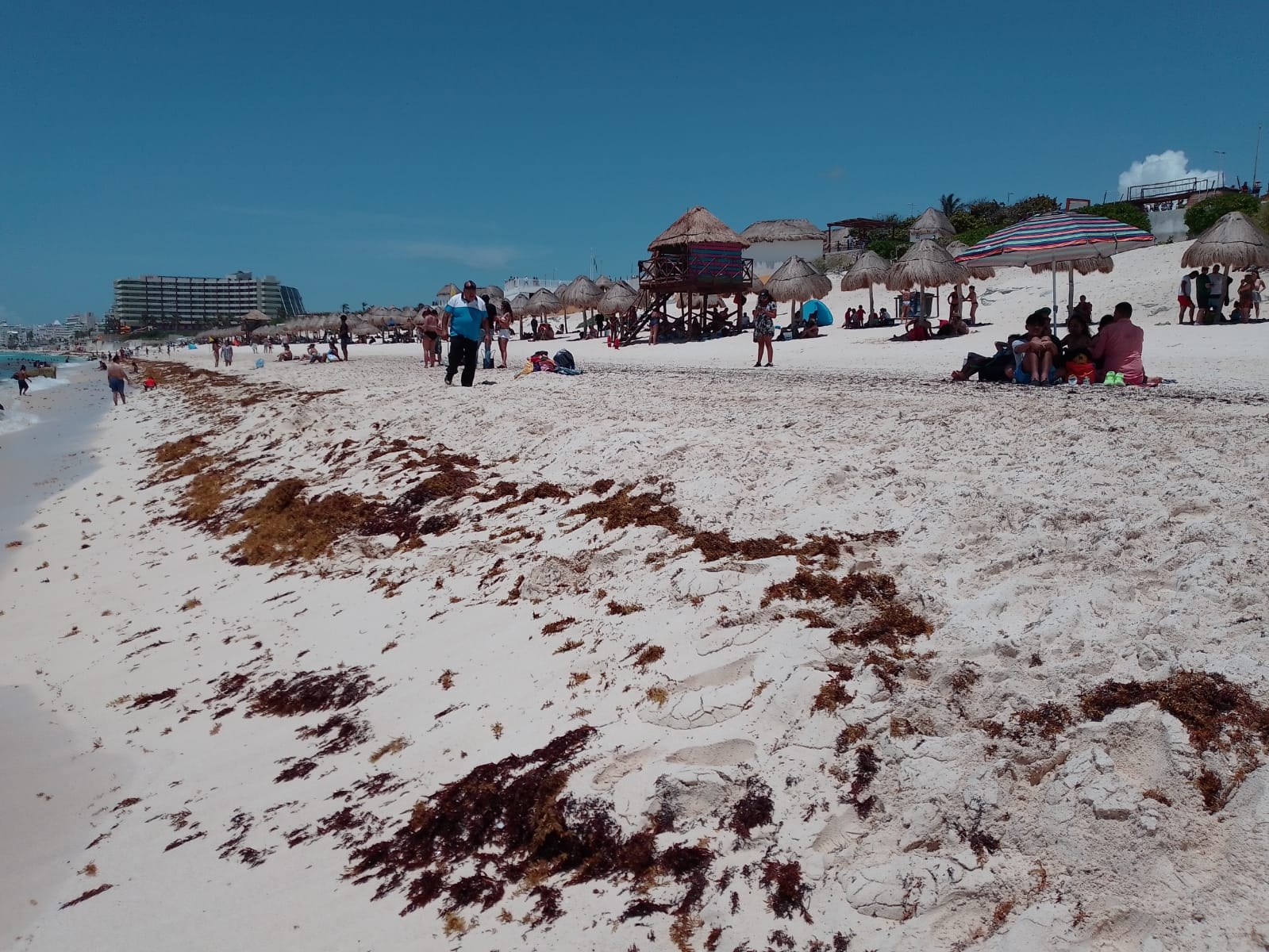 Marea roja en Yucatán no representa riesgo para la salud, actividad pesquera ni vacaciones