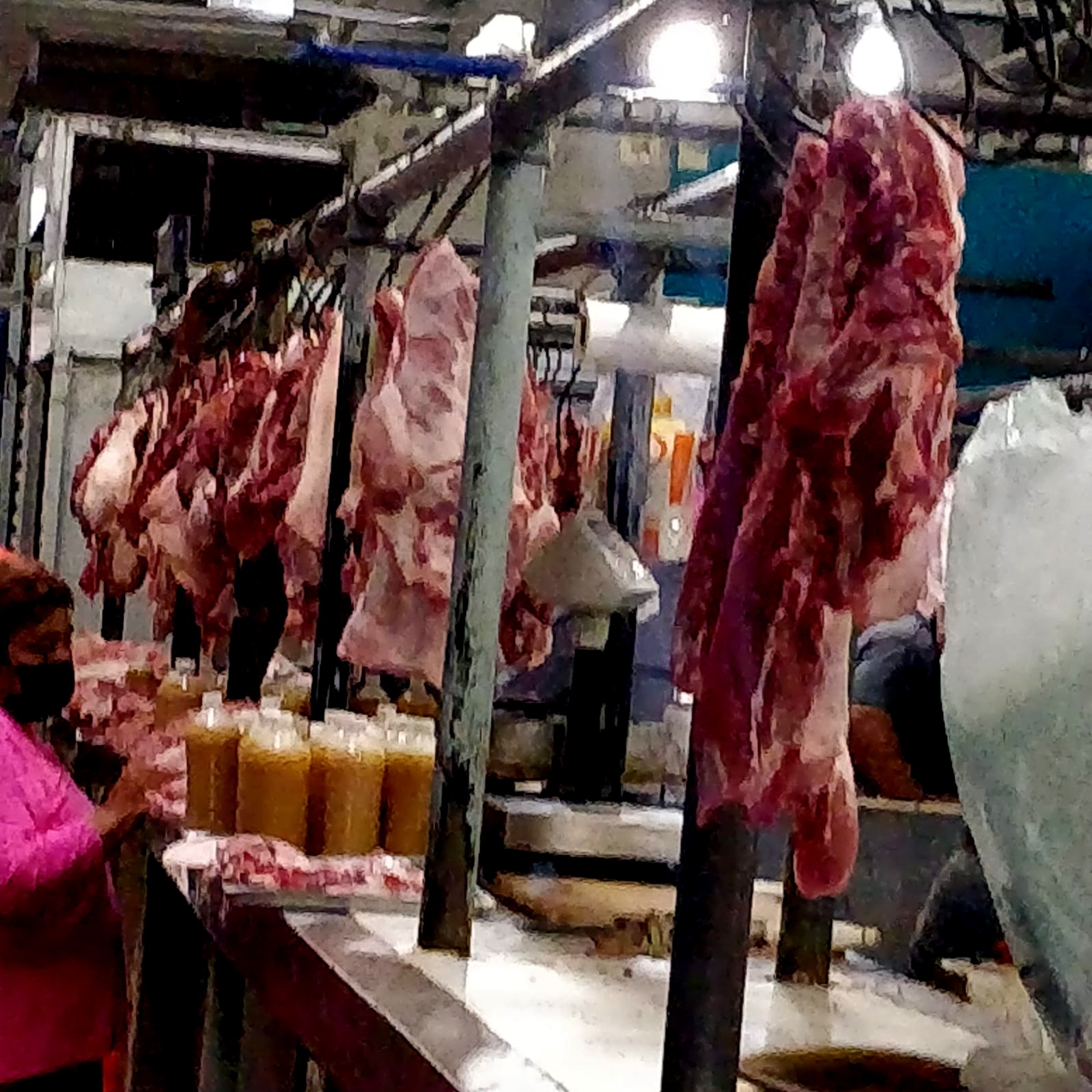 Cochinita contaminada en Yucatán: Secretaría de Salud continúa con la inspección en carnicerías
