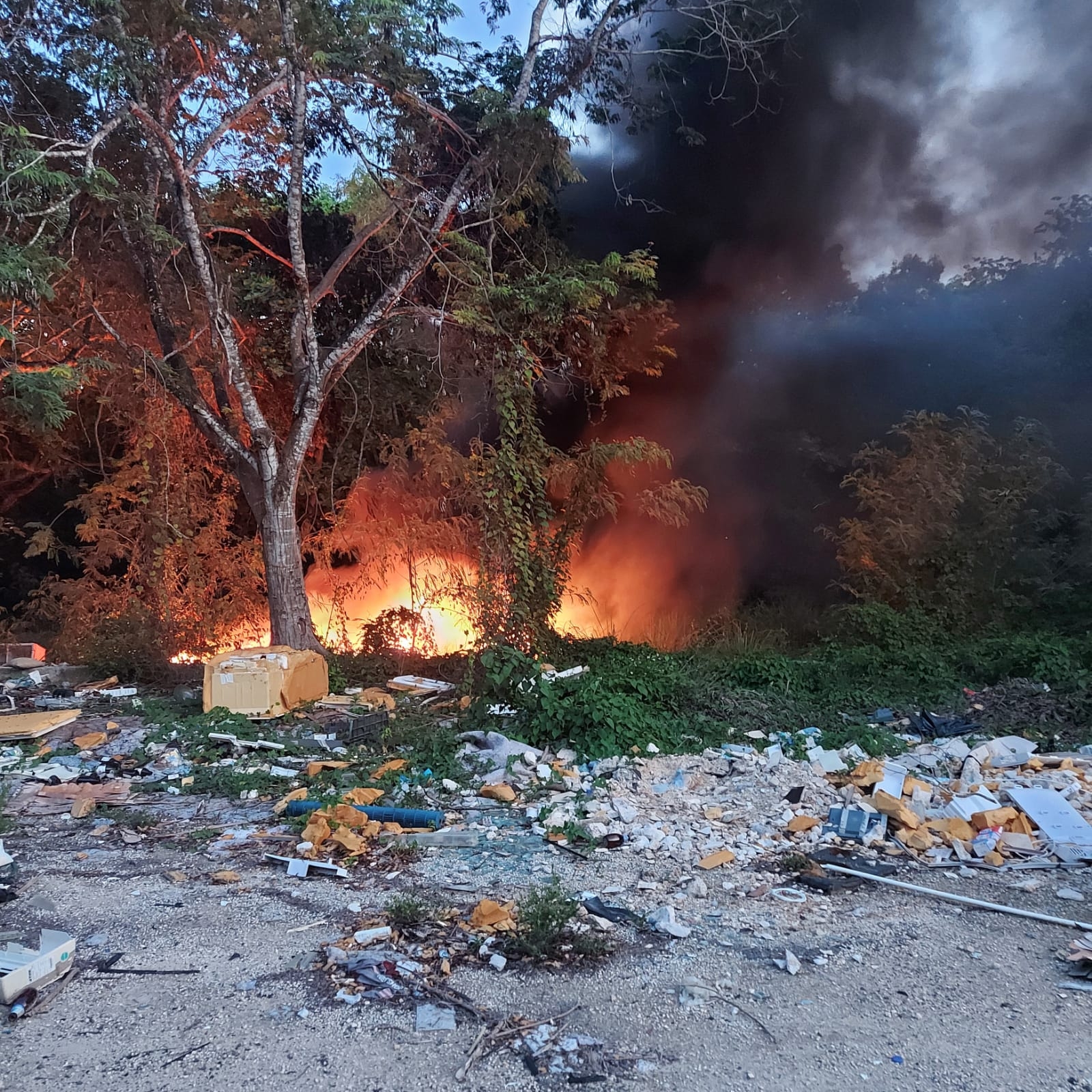 Incendio en maleza causa alarma en Chetumal