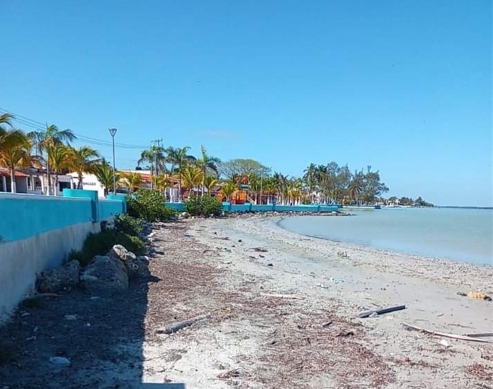Vecinos se quejan de los malos olores que provoca el lodo acumulado en el malecón de Campeche