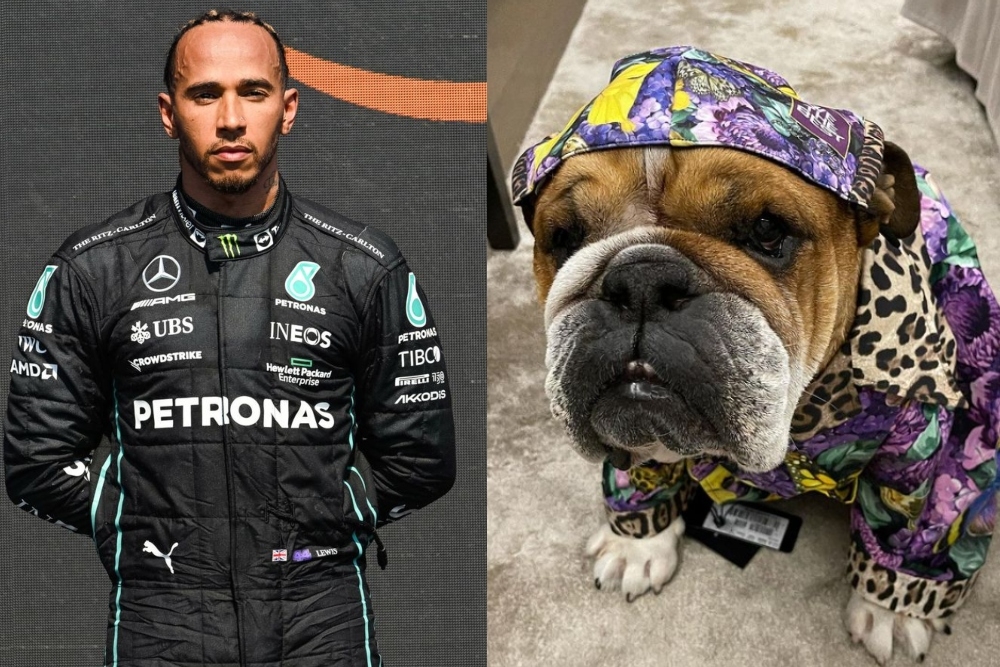Lewis Hamilton enseña a su perro 'Roscoe' a patinar: VIDEO