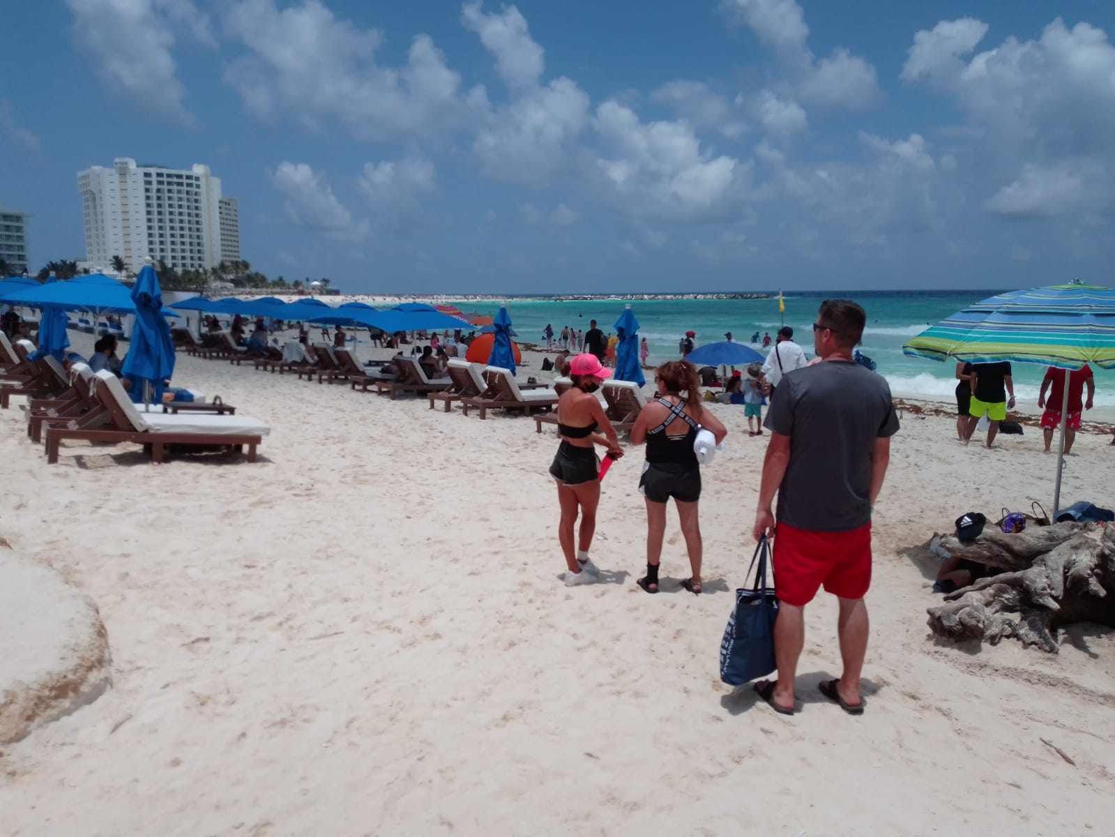 Así se ve el sargazo en Playa Fórum, en la Zona Hotelera de Cancún: EN VIVO