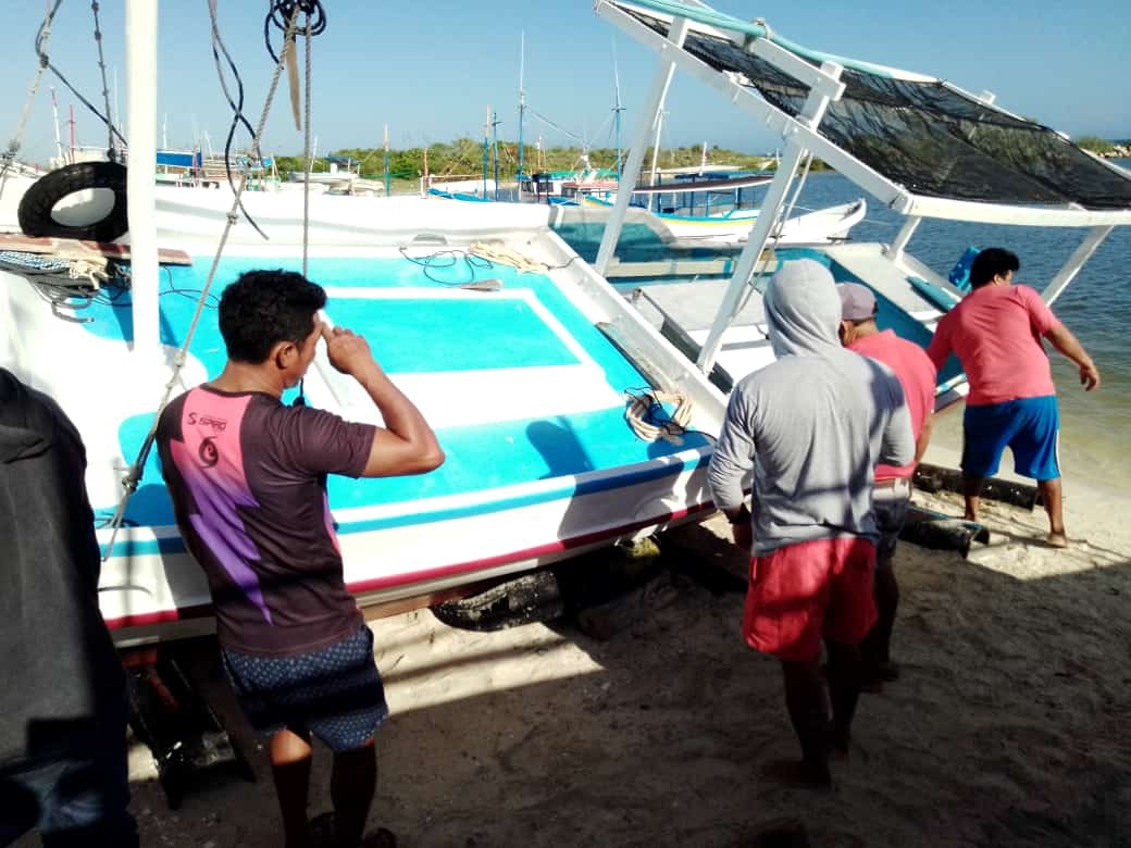 'Marea roja' provoca desnivel en la captura de langosta en puertos de Yucatán; declaran pescadores