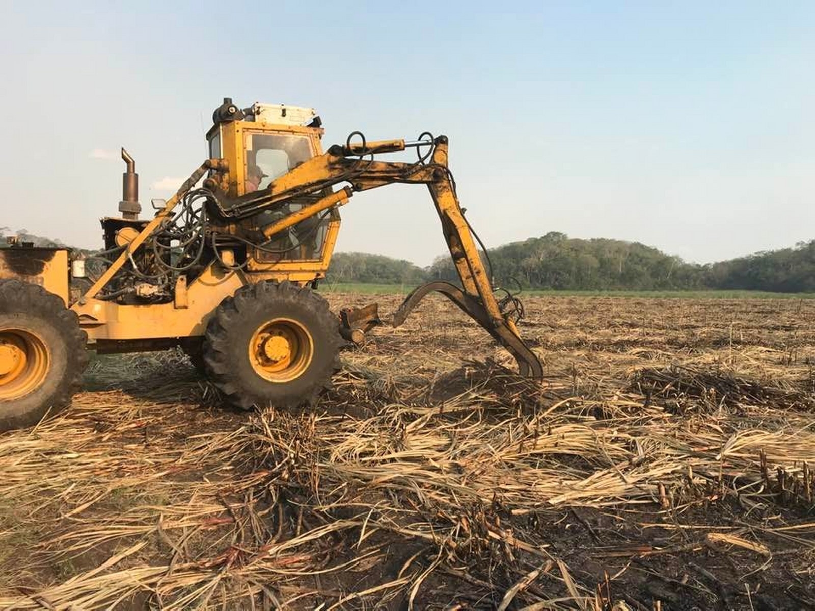 La cifra en toneladas de la zafra de caña de azúcar en Quintana Roo  colocó al Ingenio San Rafael de Pucté por debajo de Veracruz
