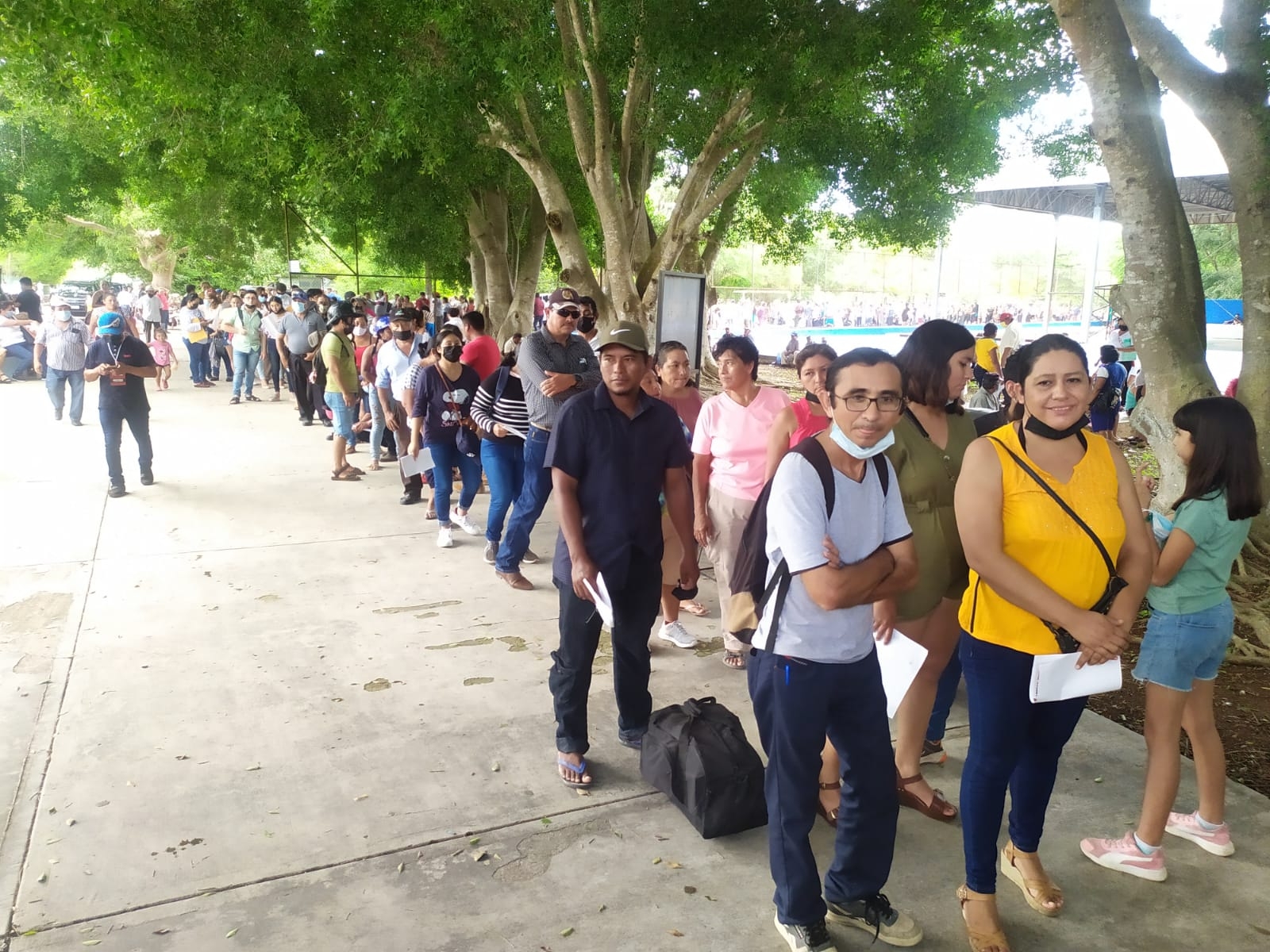 Elección Morena: Estos son los nuevos Consejeros Estatales en Yucatán