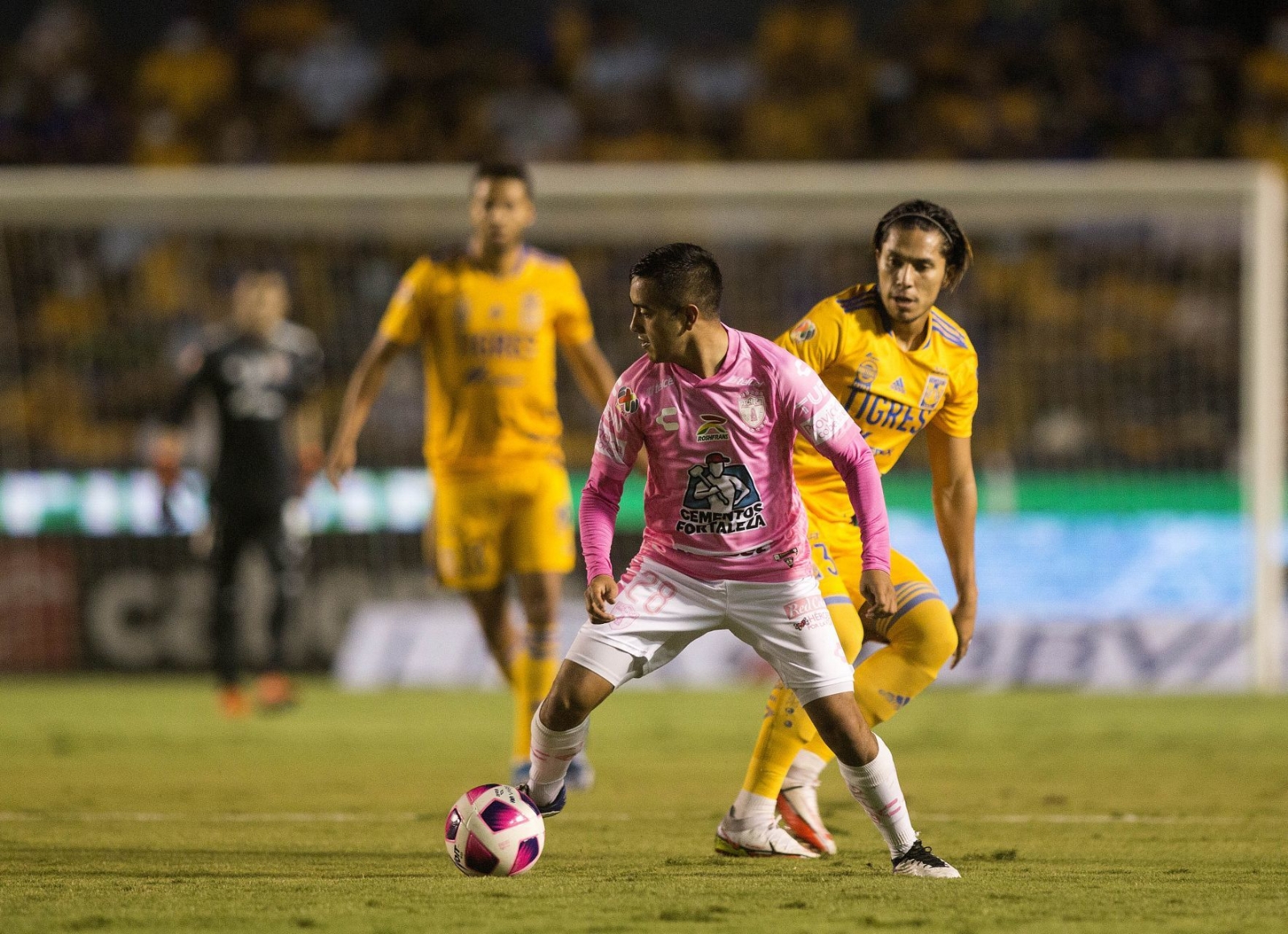 Pachuca vs. Tigres UANL, es uno de los partidos más interensantes de la Jornada 7