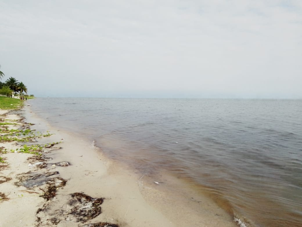 Marea roja se mantiene en San Crisanto, pero sin recale de especies; aseguran pobladores