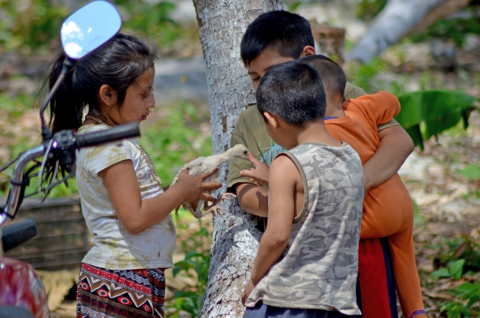 Cuatro de cada 15 niños de la Península de Yucatán no viven un desarrollo adecuado: ENSANUT