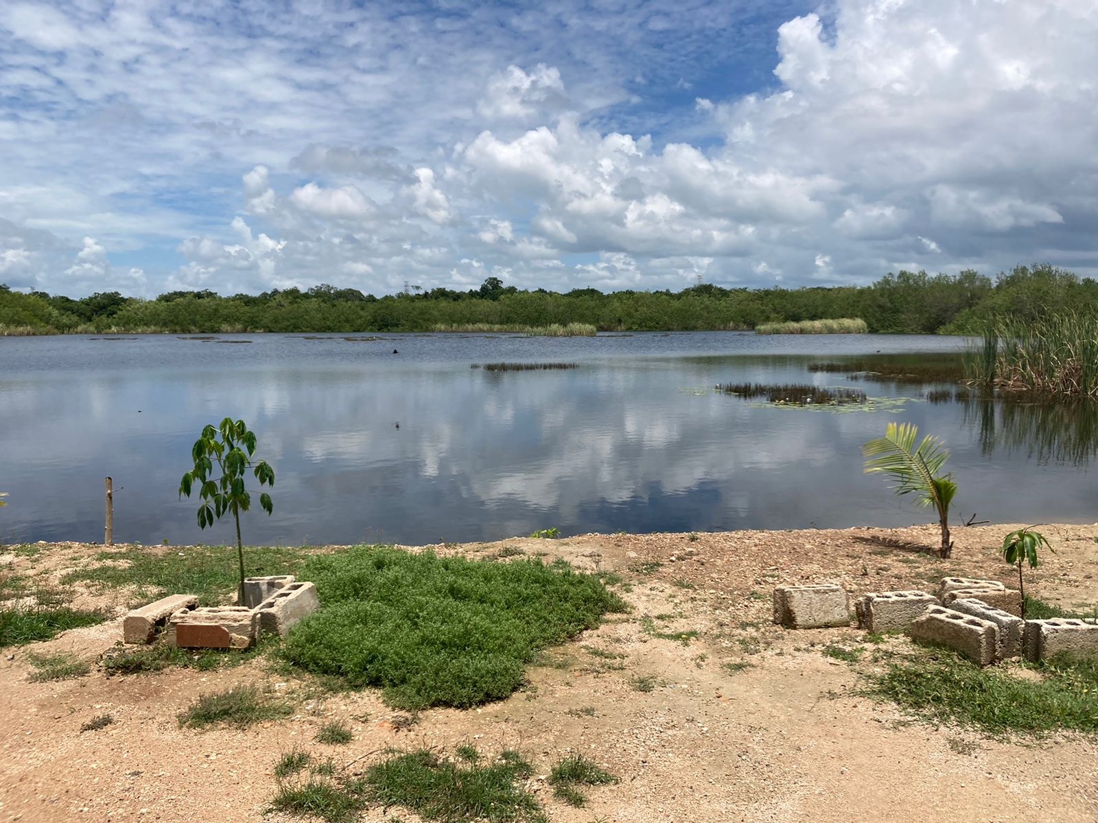 'La Sabana' presentó un aumento en el nivel del agua derivado a las lluvias causadas por la Onda Tropical 23 en la Zona Sur de Quintana Roo