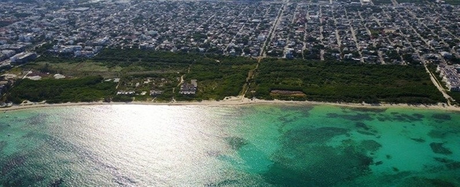 Ambientalistas piden que terrenos en la costa se consideren 'pulmón verde' de Playa del Carmen
