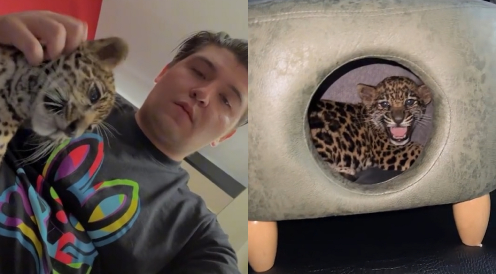 Fofo Márquez presume su baño con agua de manantial y champagne junto a un jaguar: VIDEO