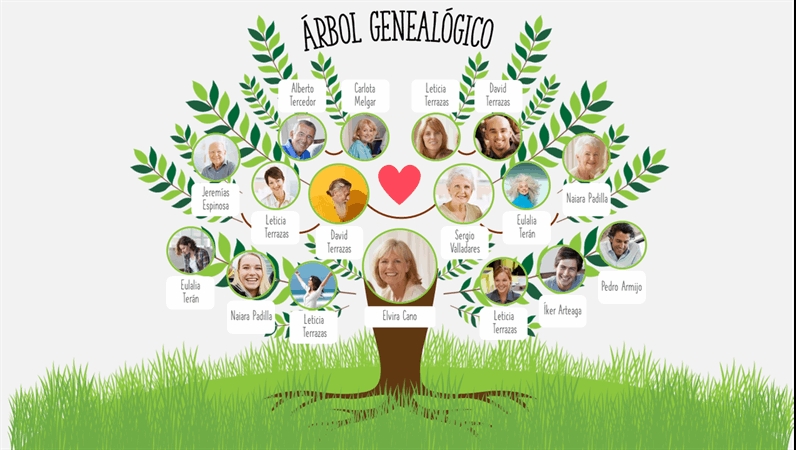 El árbol genealógico puede ser sencillo o complejo
