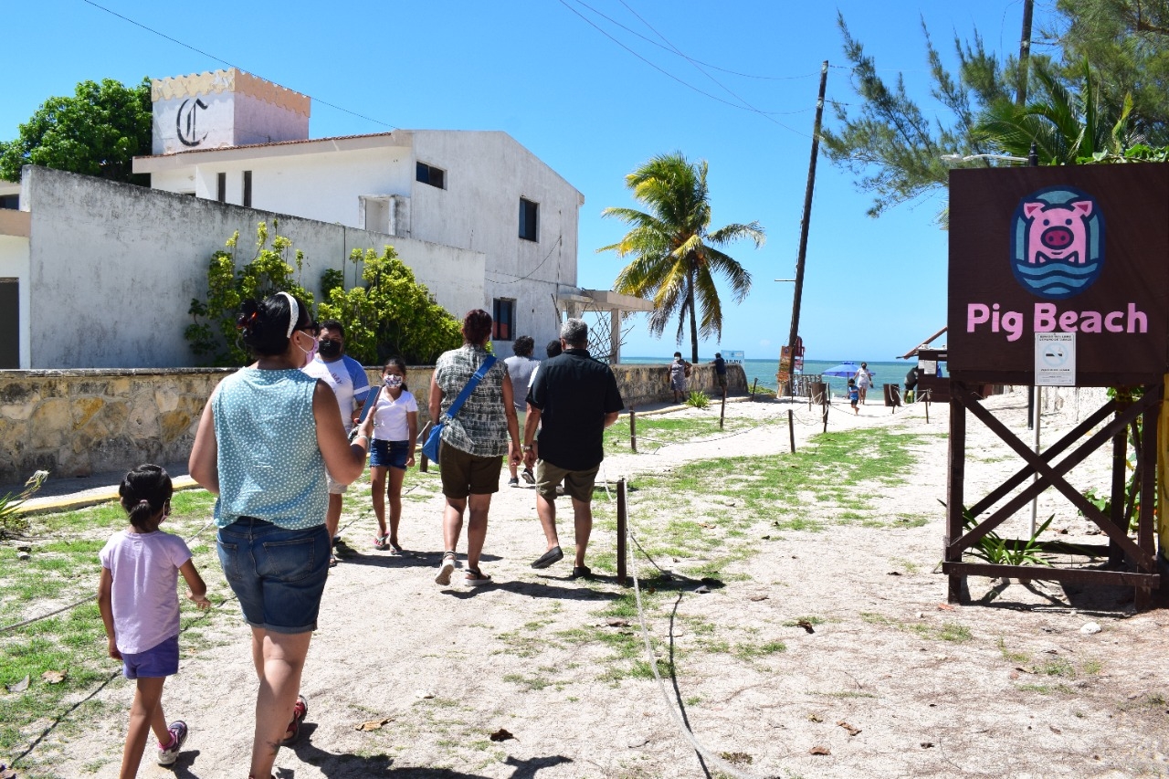 Sitios turísticos de Progreso registran pérdidas de más del 50% por la marea roja
