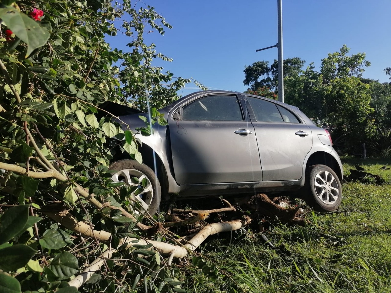 Conductor se "estampa" contra unas plantas tras salirse del Periférico de Mérida