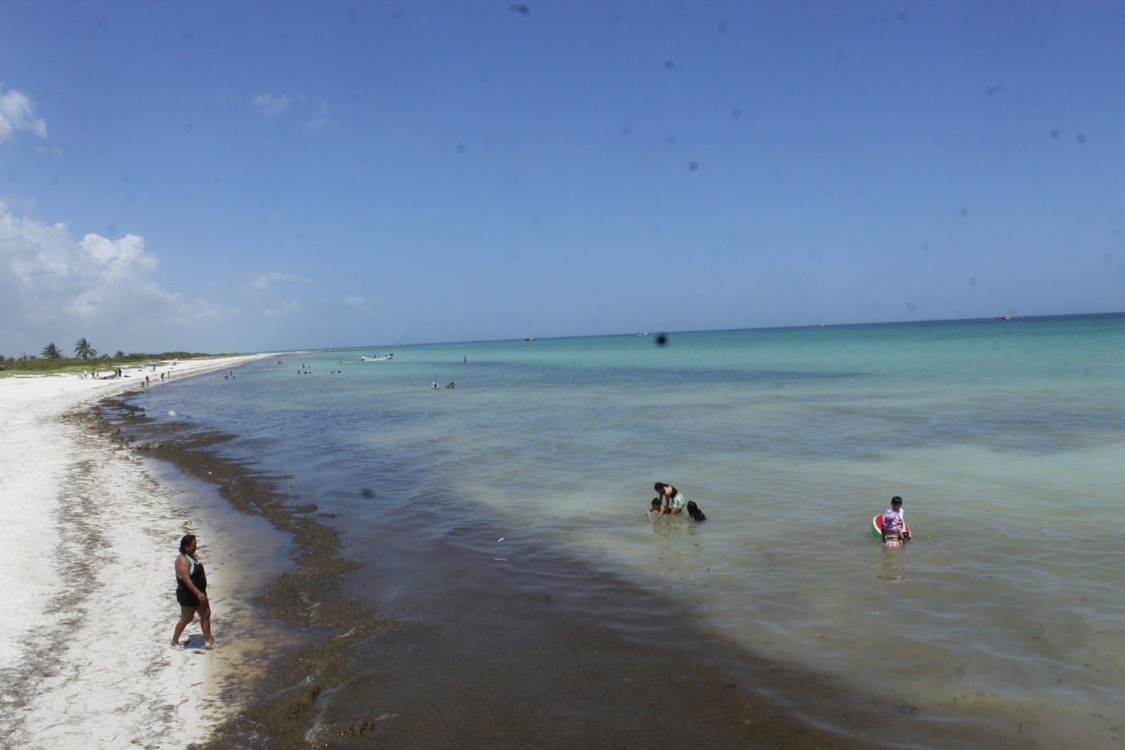 Playas de El Cuyo, sin presencia de la marea roja, pero llenas de sargazo
