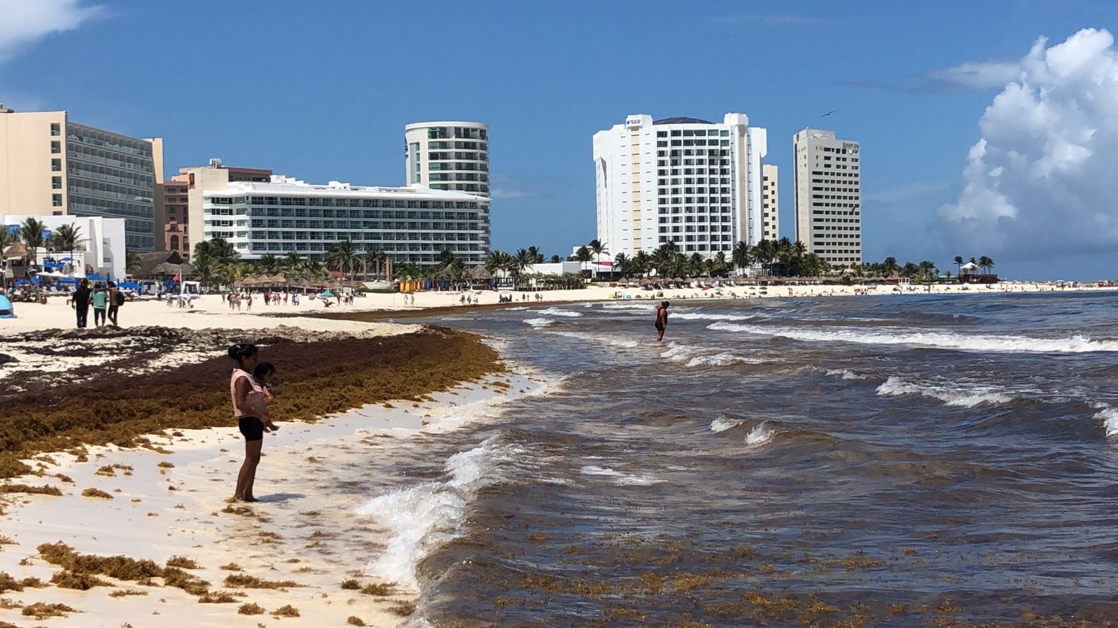Sargazo afecta el último fin de semana de vacaciones en playas de Cancún: EN VIVO