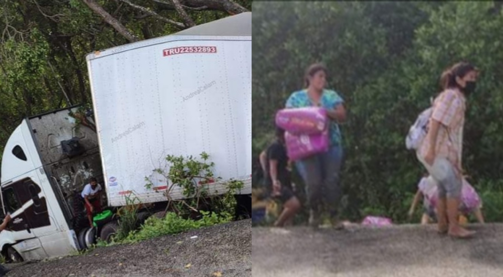 Rapiñan tráiler que transportaba croquetas para mascotas en la carretera Champotón-Sabancuy