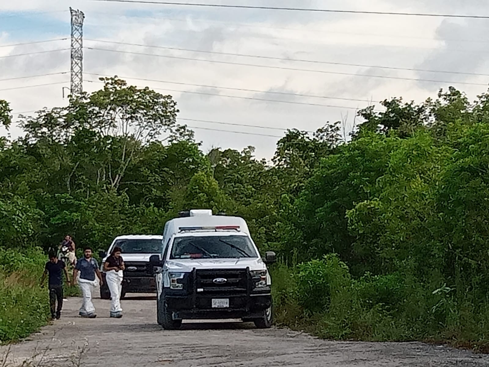 El cuerpo en descomposición de una persona hallada en un camino de la colonia Santa Cecilia de Cancún, fue llevado a la morgue en la ciudad