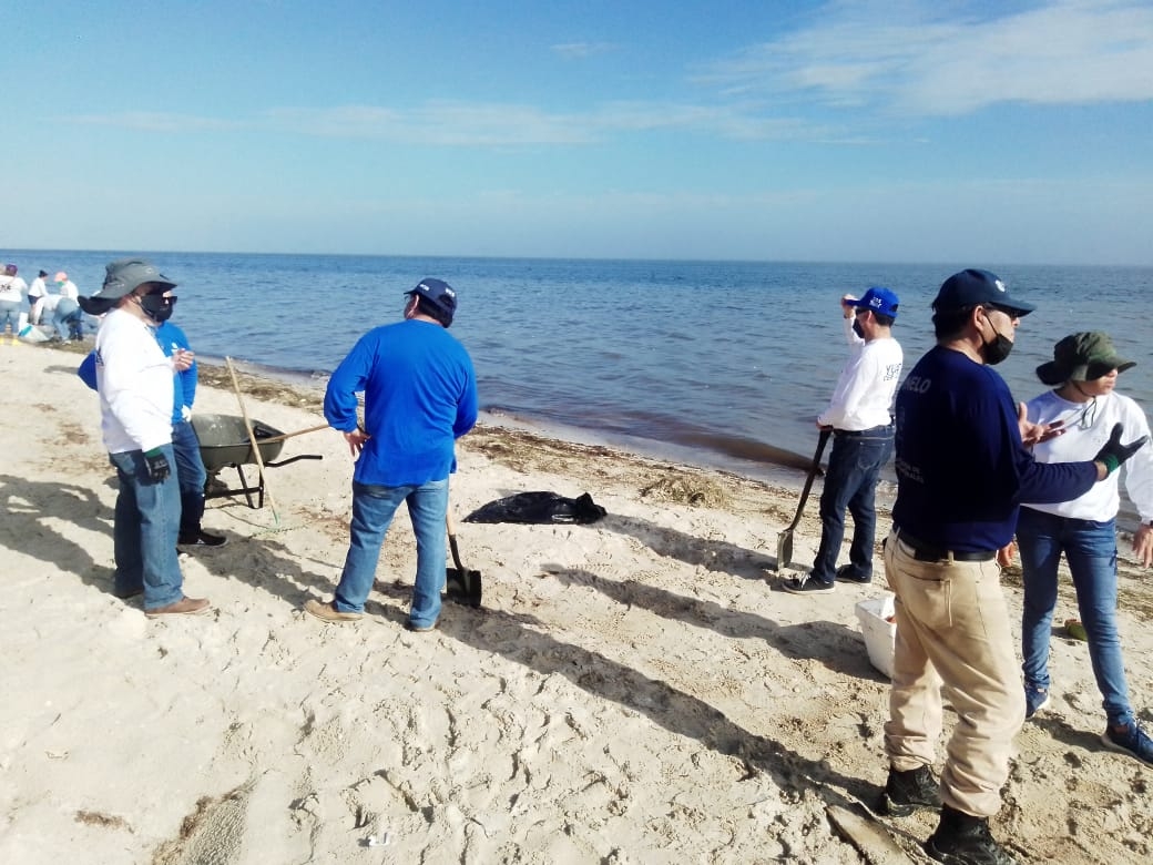 Marea roja en Yucatán: Continúa retiro de peces muertos en la playa de San Crisanto