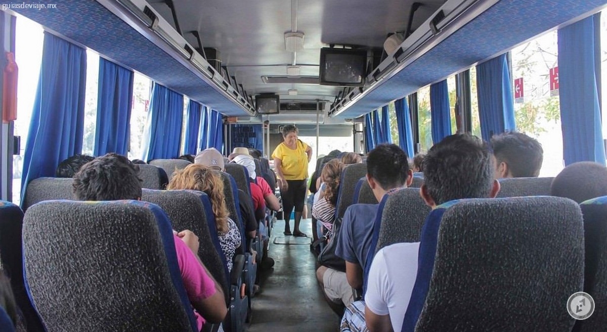 Sedena decomisa dos maletas con mariguana en un autobús que viajaba a Mérida