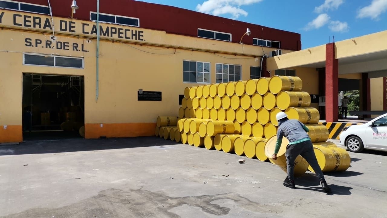 Apicultores de Campeche logran vender 260 millones de pesos durante el 2022