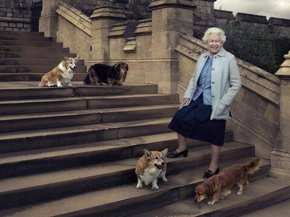 Ellos son los elegidos para quedarse con los perros corgis de la Reina Isabel II