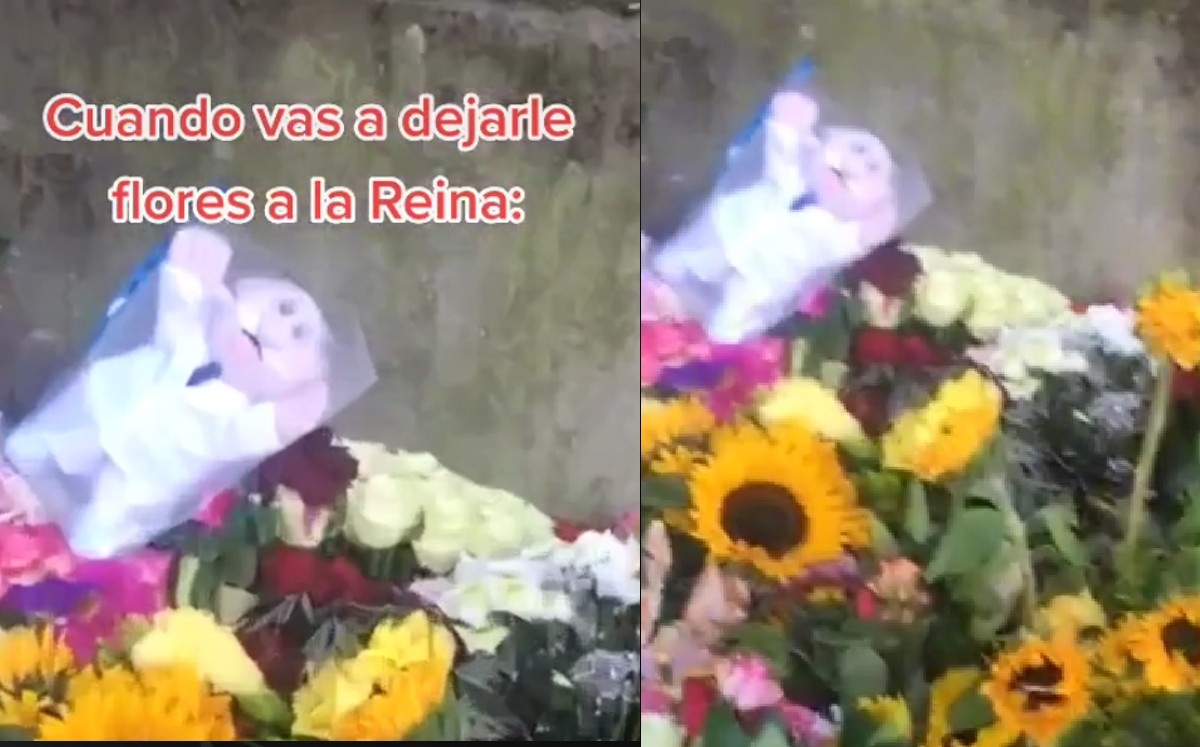 Un usuario de TikTok mostró que alguien dejó un muñeco del Dr. Simi entre las flores