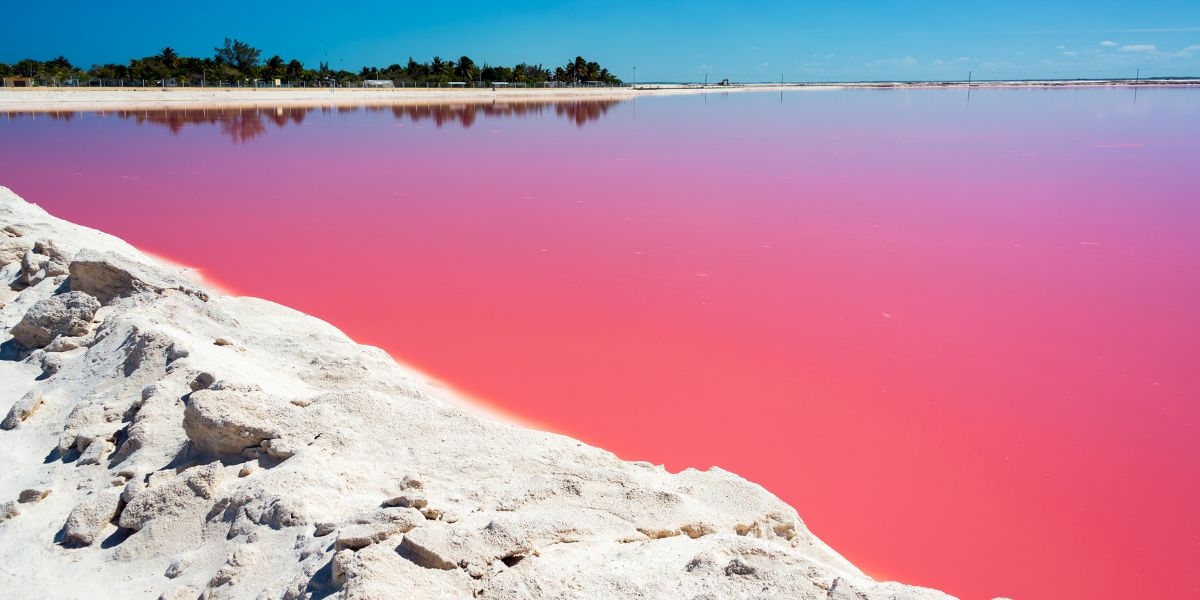 ¿Qué pasa en Las Coloradas, las lagunas de agua rosa en Yucatán?