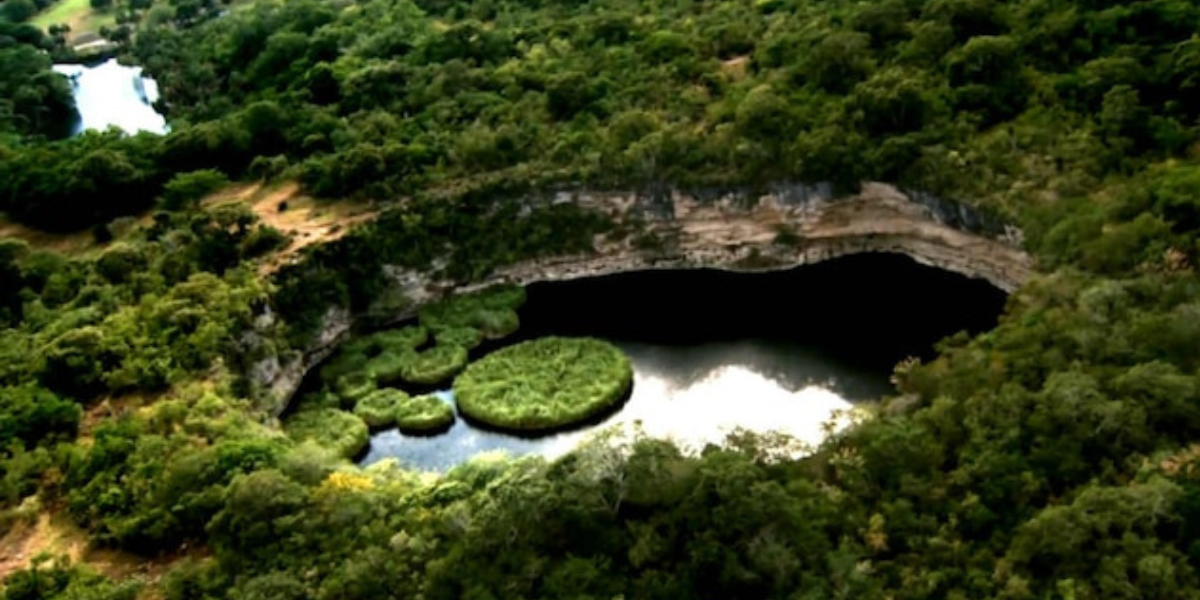 No está en Yucatán, ¿Cuál es el cenote más profundo de México y el mundo?