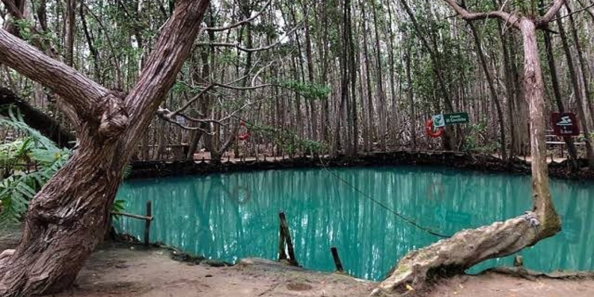 El cenote El Corchito. Foto: Instagram 
el_corchito_eco