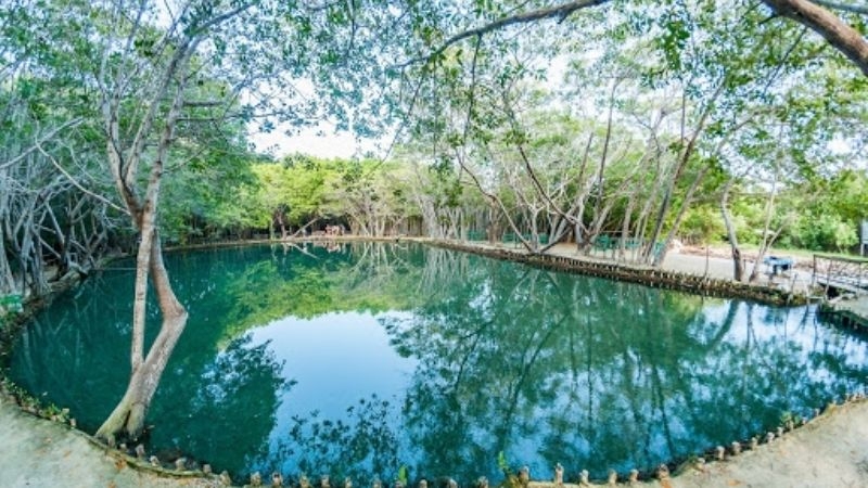 Visita el Cenote Helecho en Progreso, la opción perfecta si no sabes nadar