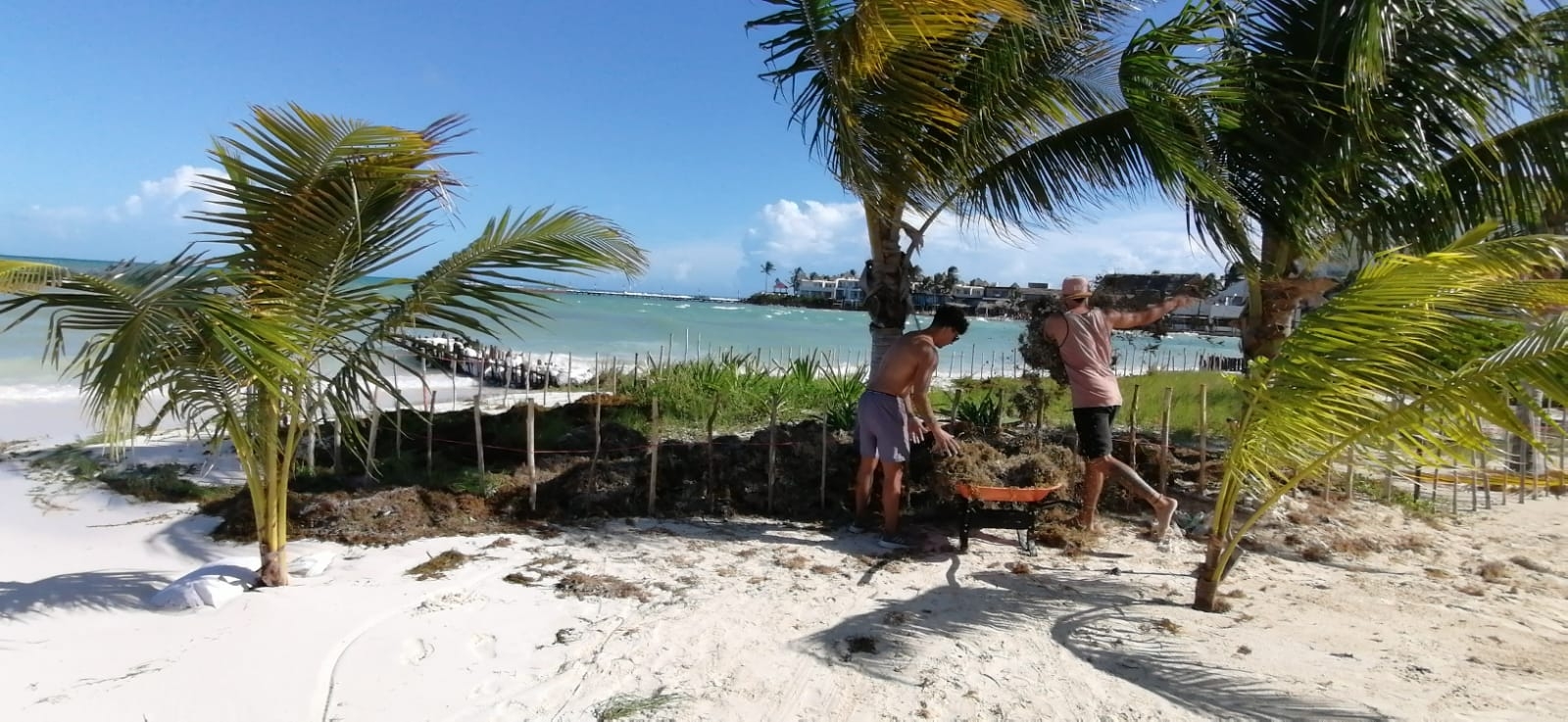 Huracán Ian deja con sargazo algunas playas de Isla Mujeres: FOTO