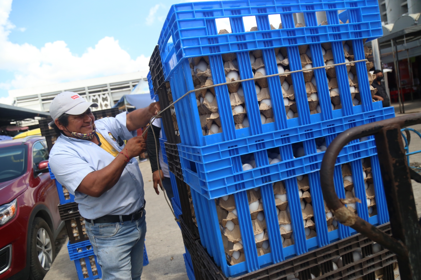 Avicultores de Yucatán culpan al precio del alimento para gallinas por el alto costo del huevo