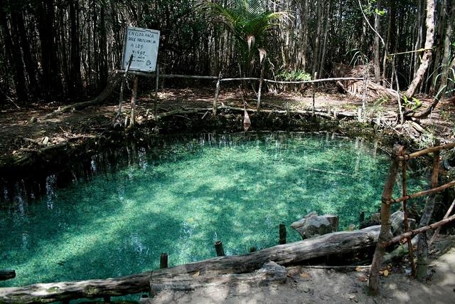 El Corchito, la reserva ecológica que se formó tras el Huracán Gilberto
