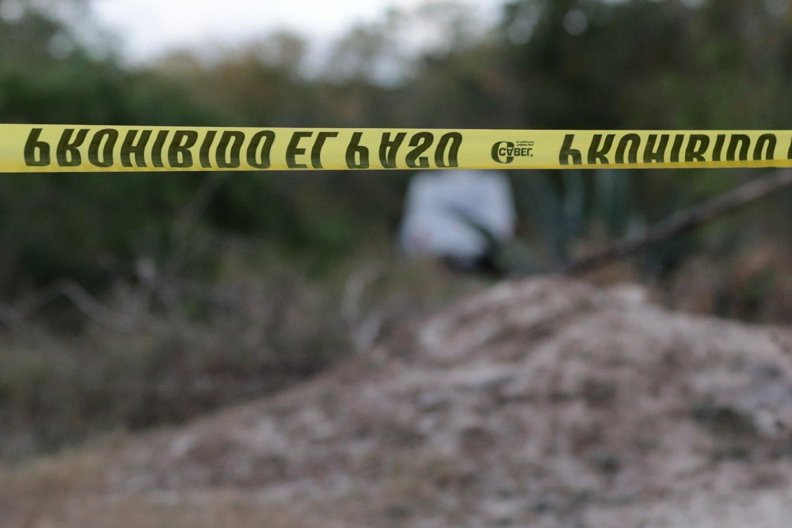 Hallan el cuerpo de una persona maniatada en un área verde en la Región 227 en Cancún