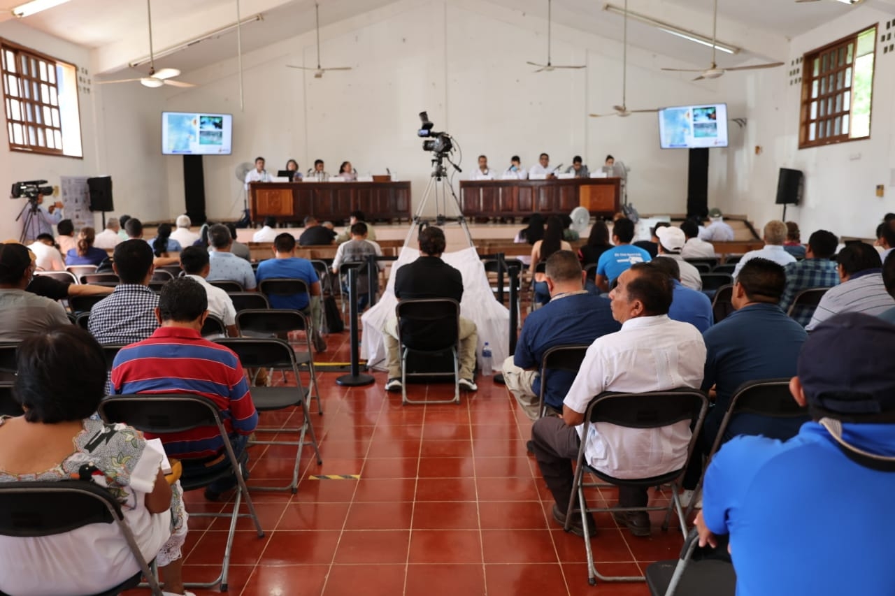 Tren Maya: Semarnat realiza reunión pública sobre el Tramo 6 en Quintana Roo
